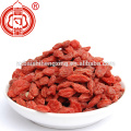 Gou Qi Zi chinês wolfberry secou grau b 380 gojiberry tamanho for sale